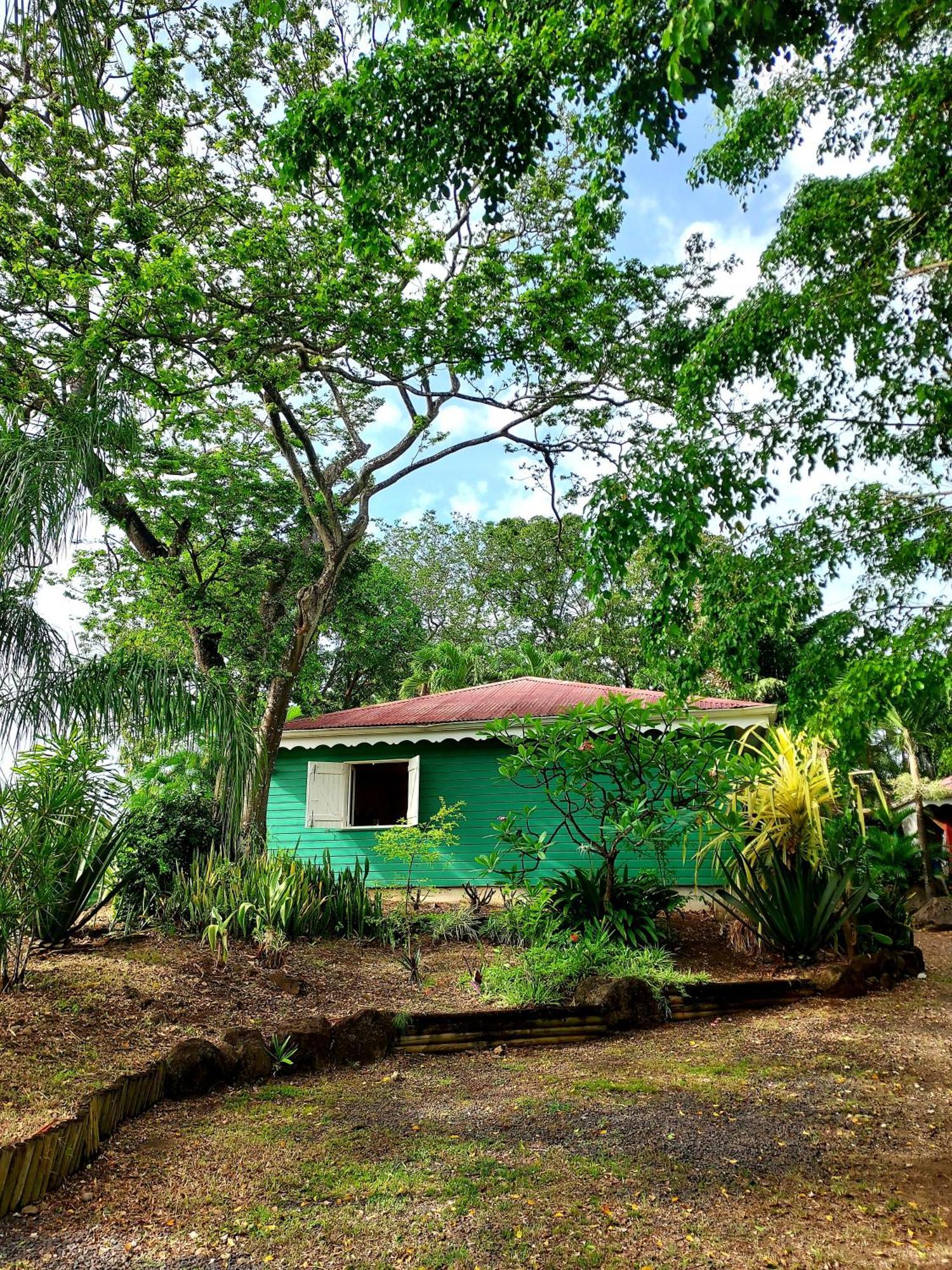 Bungalow Du Jardin Botanique De Deshaies Rum bild